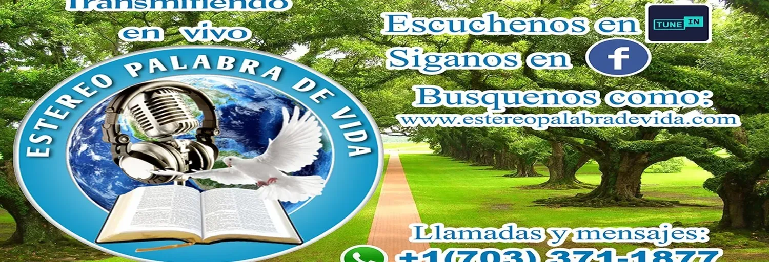 ESTERIO PALABRA DE VIDA OFICIAL