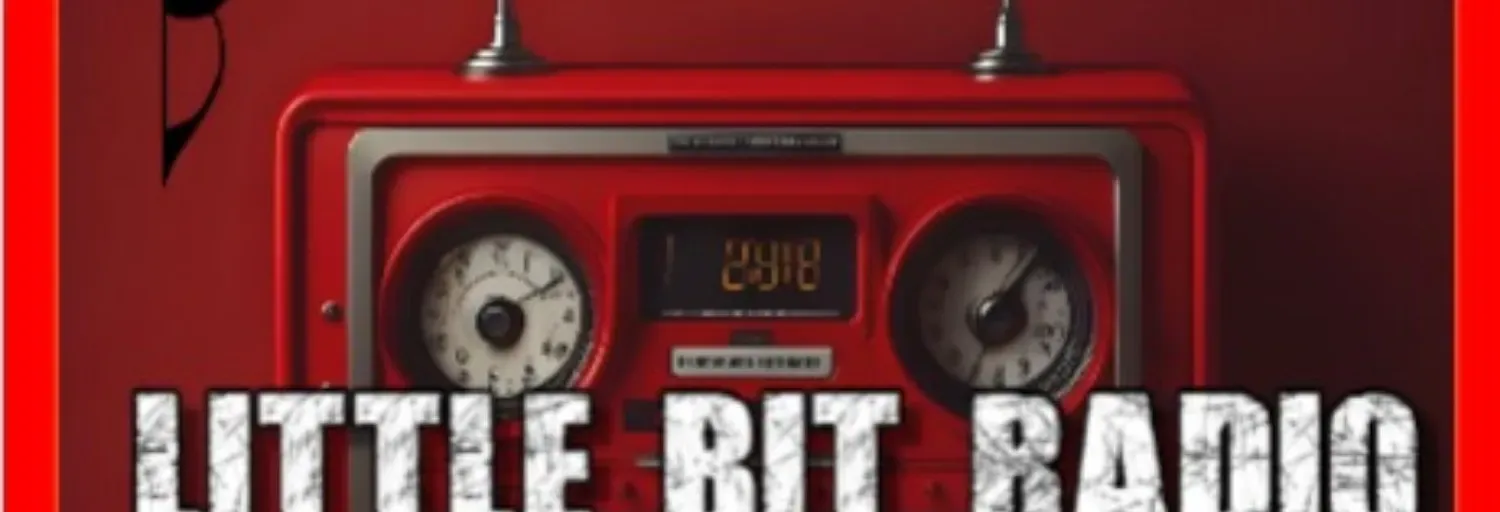 21 station LITTLE BIT RADIO