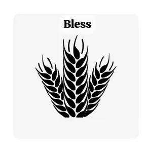 Radio Bless