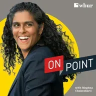 Check out: On Point with Meghna Chakrabarti from WBUR!