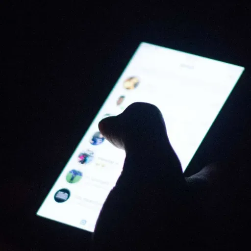 Les modes d’accès à l’information des jeunes de Bandé