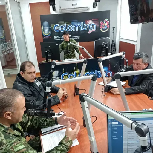 195. La memoria histórica de las Fuerzas Militares como campo de investigación