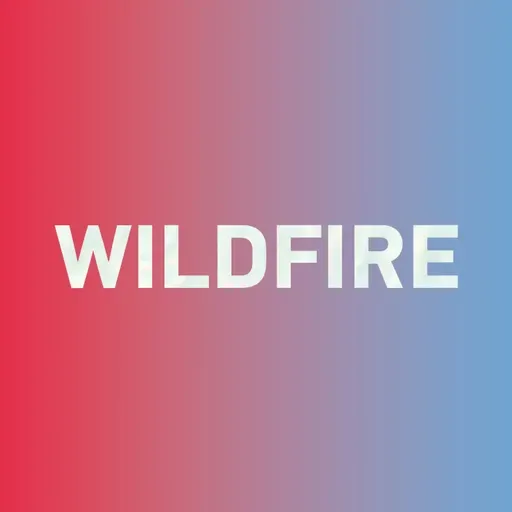 Special: How to say "wildfire 山火" in Chinese? 