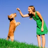 Логика поведения «Я всегда так делаю»