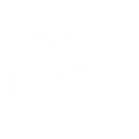 yoloboy music