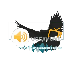 UCC TV LIVE