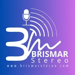BRISMAR Stereo On Line