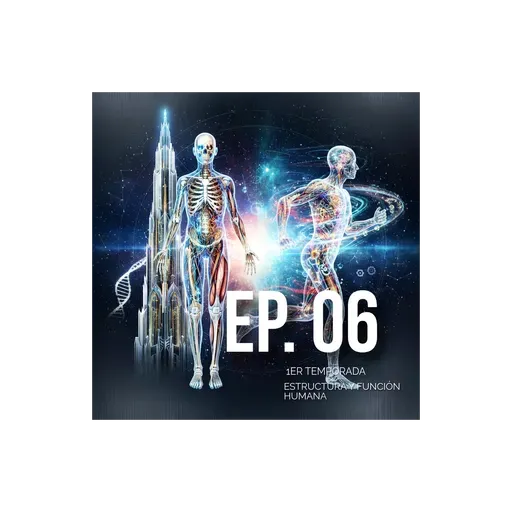 06 estructura y función humana