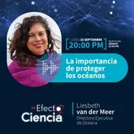 Efecto Ciencia: /La importancia de proteger los océanos - Liesbeth Van Der Meer - Directora Ejecutiva de Oceana.