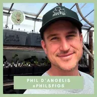 120. Godfather Figs, Coastal Ecology, and Really Old Rocks w/ Phil D'Angelis