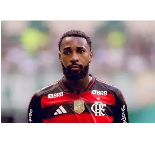 Sobre o Gerson 