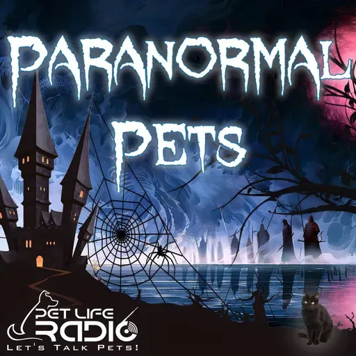 Paranormal Pets - Episode 133 Energy, Empathy & Animal Voices: A Conversation with Mai