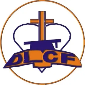 DLCF Progress