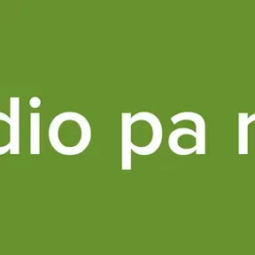 Radio Tele Wood