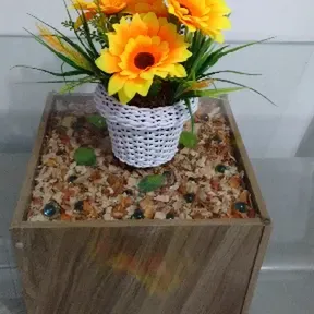 RADIO A ELE A GLÓRIA