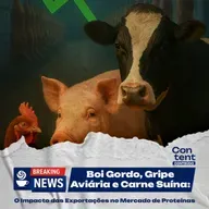 Boi Gordo, Gripe Aviária e Carne Suína: O Impacto das Exportações no Mercado de Proteínas