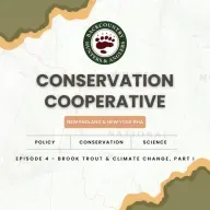 Conservation Cooperative, Ep. 4, Part I: Brook Trout & Climate Change