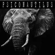 NO HI HA PROU CEMENTIRIS PER TANTS ELEFANTS (T3 Cap 6 )