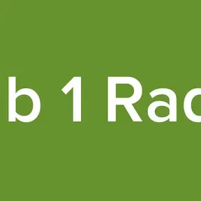 Sub 1 Radio