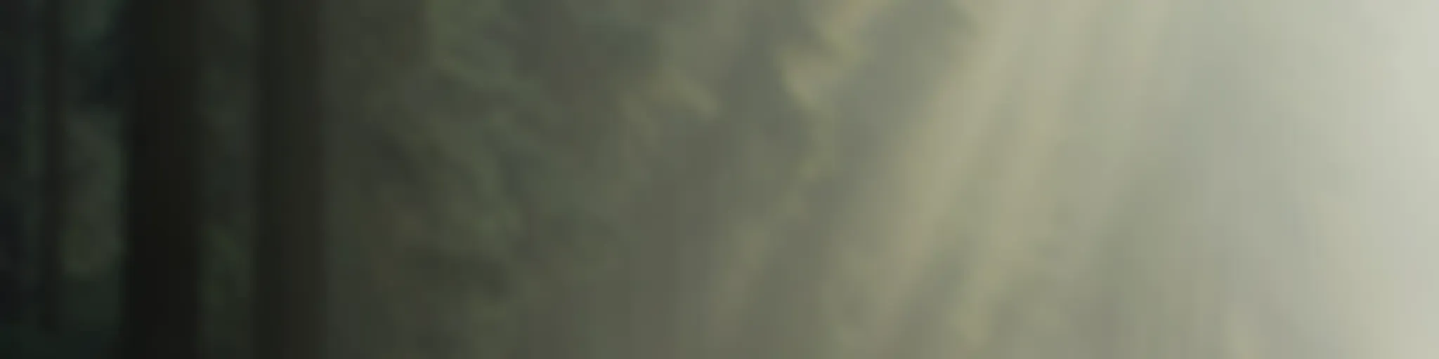 All About Life with Mitzi