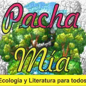 Pachamia 2020