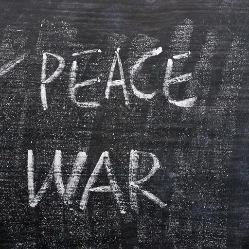 Krieg oder Frieden - Ist der Mensch zur Gewalt verurteilt?