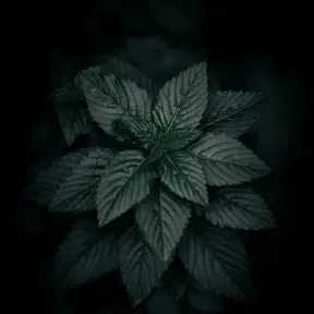 lovemukundi