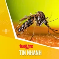 Tin tức sáng 19-12: Hơn 2.200 ca sốt xuất huyết, gần 1.300 ca tay chân miệng trong một tuần ở TP.HCM