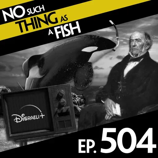504: No Such Thing As Captive Willy