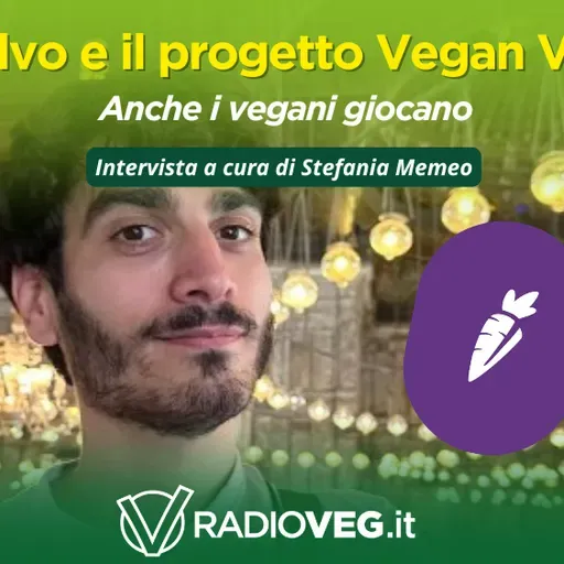 Vegan Vex, perché giocare è una cosa seria