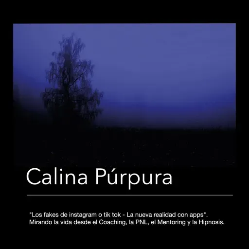 #109 Los fakes de instagram o tik tok - La nueva realidad con apps