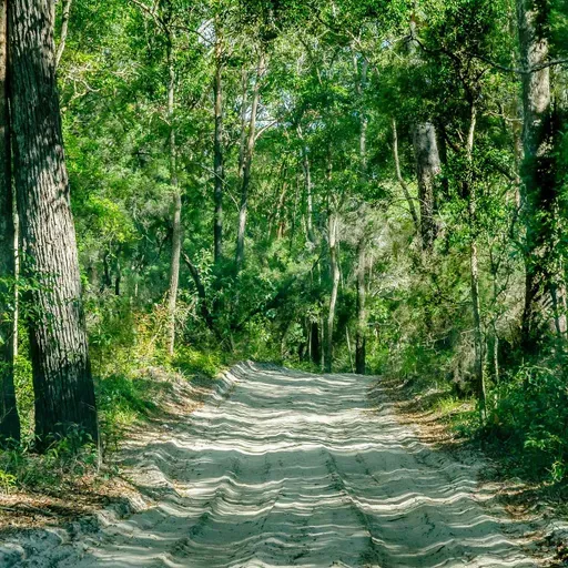 Guiding Lost Souls: The Story of Harry and His Siblings. S17. Ep4.