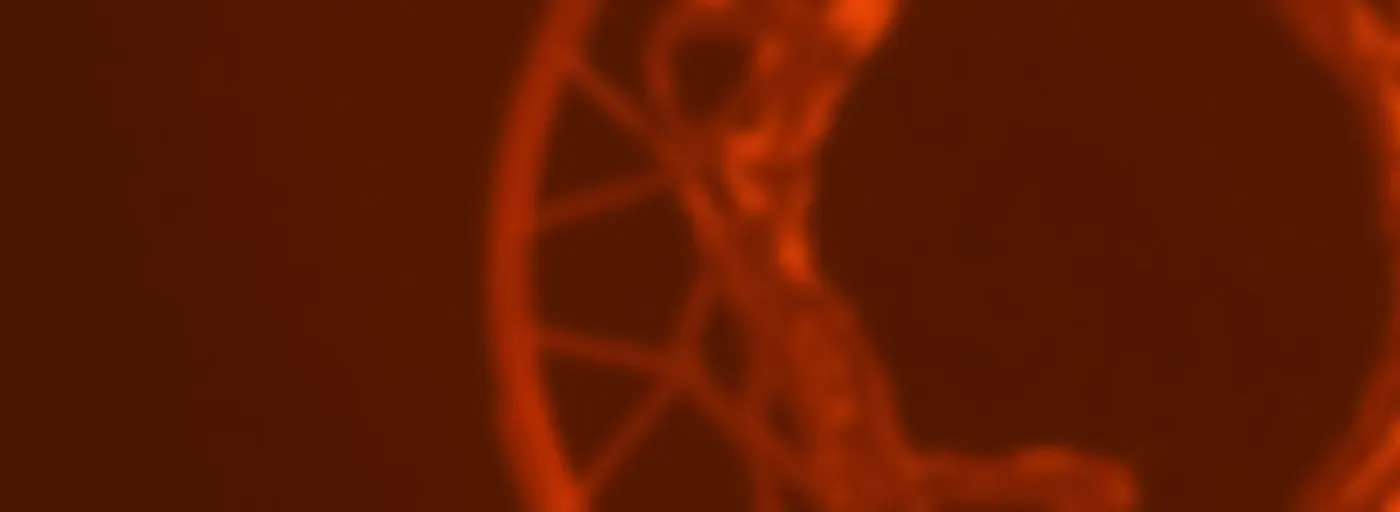 Deportes - La Replazeta