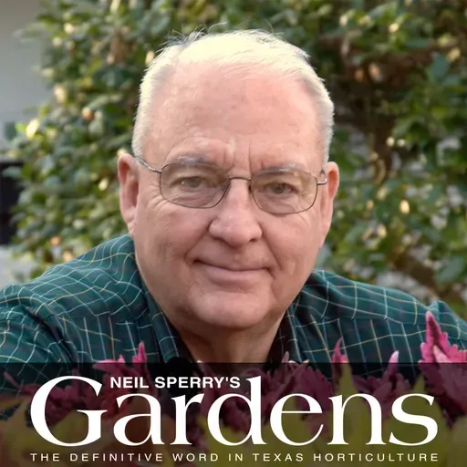 April 12, 2026 - 8AM WBAP