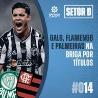 Setor D #014 - Galo, Flamengo e Palmeiras na briga por títulos