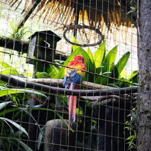 ¿Qué onda con la compra de Electronic Arts?