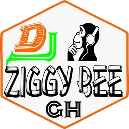 Dj Ziggy Bee Pro