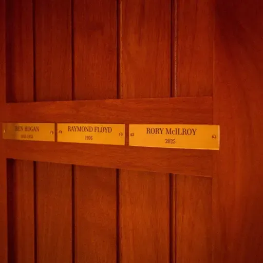 Érase una vez un gorrión que se cayó del nido...