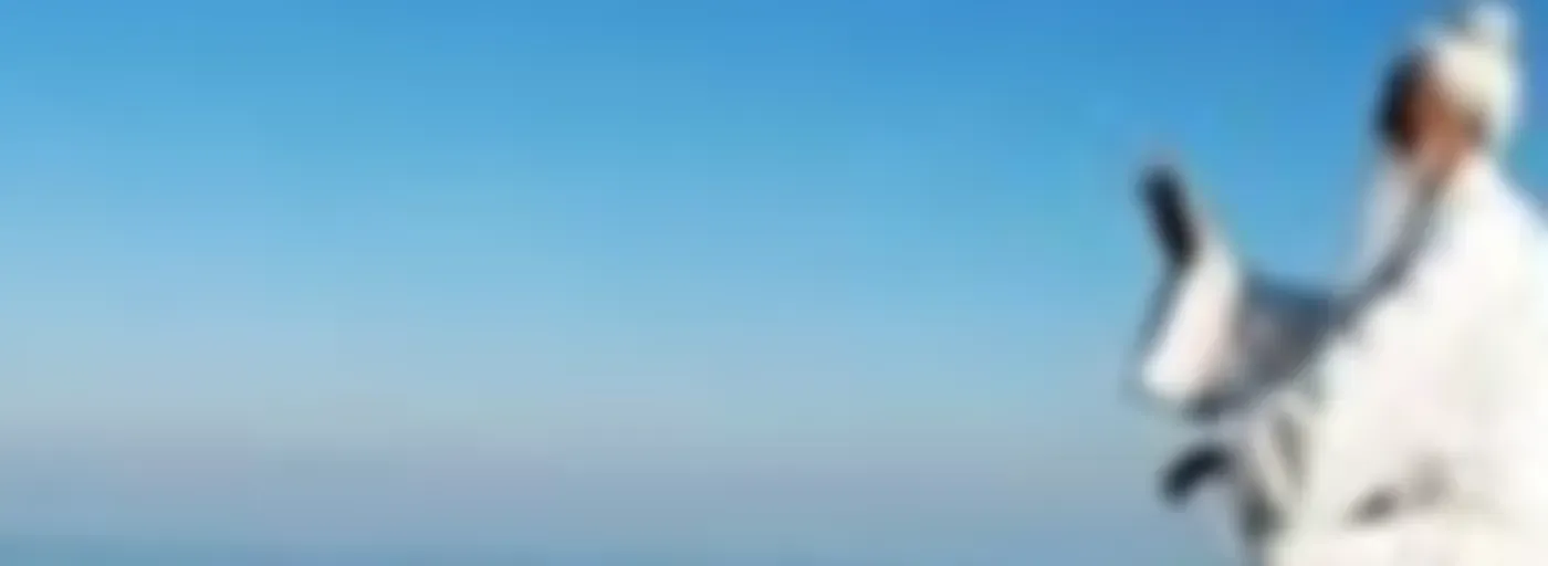 EL TAOISMO, FILOSOFIA, RELIGION, MUSICA