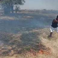 Rentrée scolaire, feux de brousse et Octobre Rose au cœur de l’actualité (La semaine sur Kalangou)