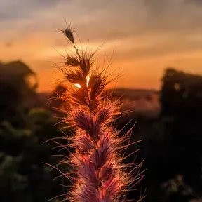 Eletronica