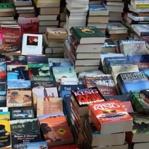 Astrid Riehn, Roxana Bávaro y Sofía de La Vega hablan sobre hacer prensa de libros