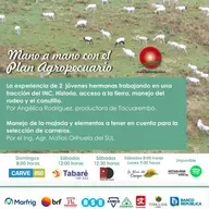 Experiencia de productoras trabajando fracción del INC. Selección de carneros.