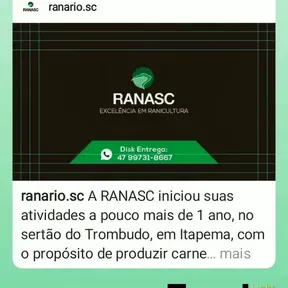 Da hora