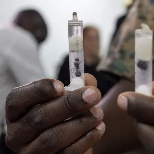 Trump and truckers, Poland prospers, and a booming ant biz