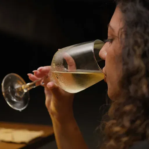 Crisis mundial del vino: su consumo se hunde hasta el nivel de 1961