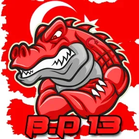 Radio BD13