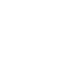 B Line Stereo  - Radio Web