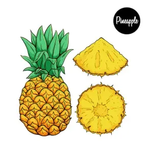 LABRADA ESTEREO