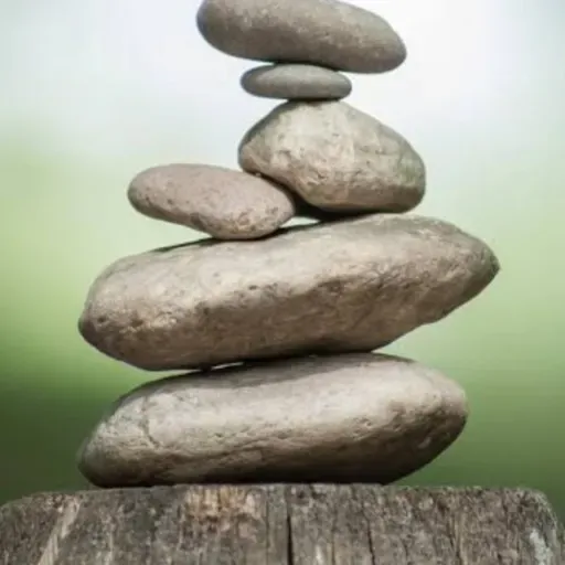 A Harmonia de Ser Eu mesmo! PONO